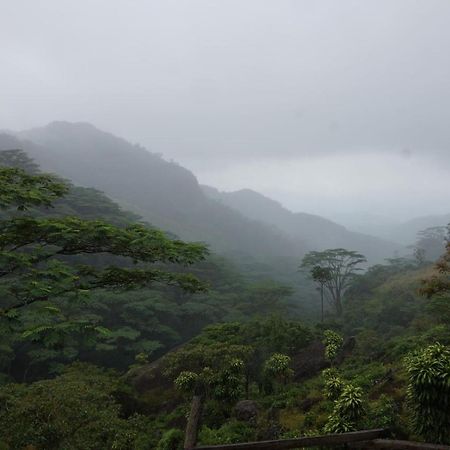 キャンディー Jungle Tree House Rangala Bed & Breakfast エクステリア 写真