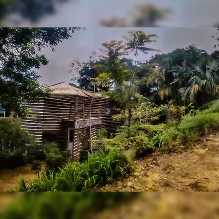 キャンディー Jungle Tree House Rangala Bed & Breakfast エクステリア 写真